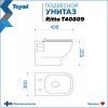 Унитаз подвесной Teymi Ritta безободковый, сиденье микролифт T40809