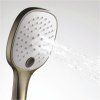 Душевая лейка WasserKRAFT Exter 1600 A050 3-функциональная, светлая бронза