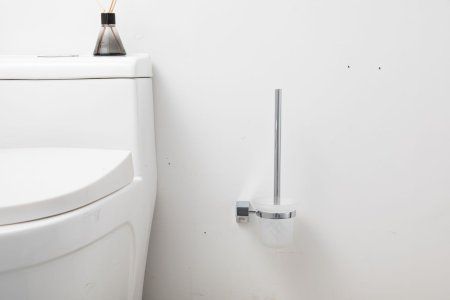 Ершик для унитаза подвесной Frap F30610, хром