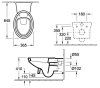 Унитаз подвесной Villeroy & Boch Amadea 7C96BOR1 alpin