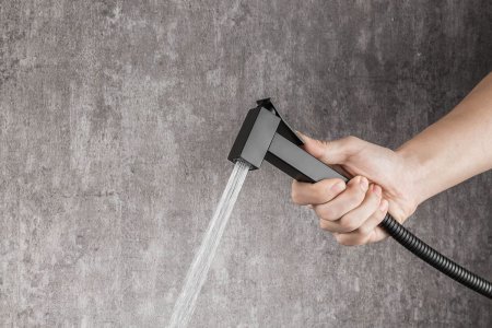 Смеситель с гигиеническим душем Frap F7504-6, однорычажный, черный