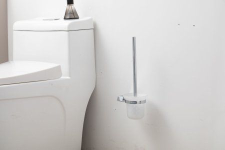 Ершик для унитаза подвесной Frap F3ZS06IT10UX, хром