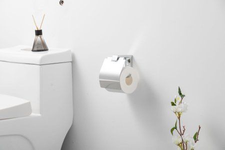 Держатель туалетной бумаги Frap F3FG06GL03GW, хром