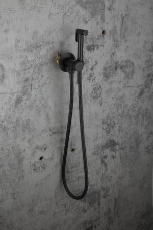 Смеситель с гигиеническим душем Frap F7505-6