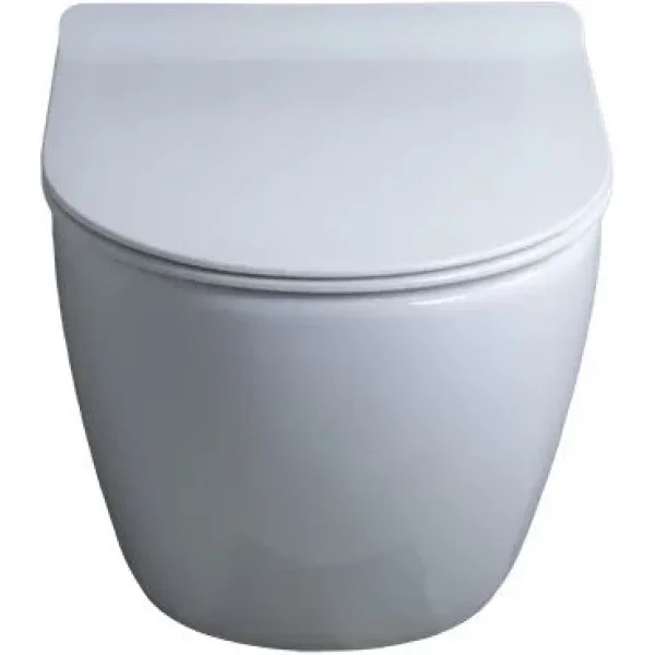 Унитаз подвесной GID Tr2198 безободковый, с сиденьем микролифт, белый