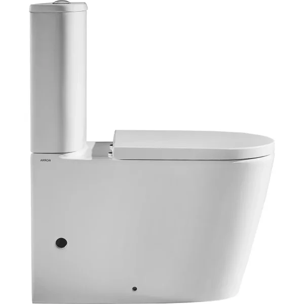 Унитаз напольный Arrow AB2231H безободковый, без бачка, с сиденьем микролифт, белый