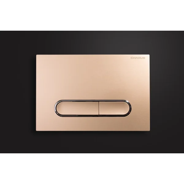 Кнопка смыва Charus Magnus FP.340.51.01 для инсталляции, песочный матовый/хром/песочный матовый