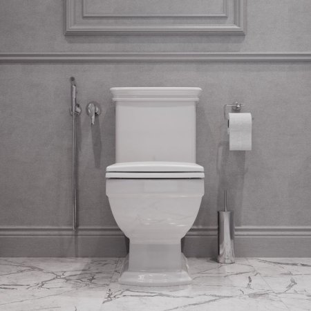 Унитаз-компакт ободковый IDDIS Oldie (OLDSD2FVDSGKEiXH24TJ)