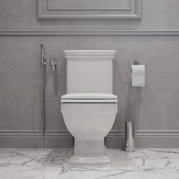 Унитаз-компакт ободковый IDDIS Oldie (OLDSD2FVDSGKEiXH24TJ)