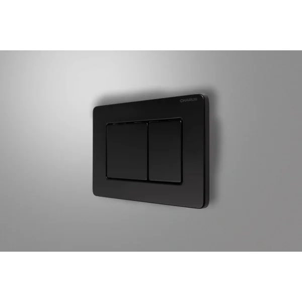 Кнопка смыва Charus Robusto FP.310.MB.05 для инсталляции, черный матовый