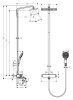 Душевая стойка Hansgrohe Raindance E Showerpipe 360 1jet 27113000 с термостатом для ванны, хром