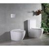 Унитаз CeramaLux 2176-1 (напольный)