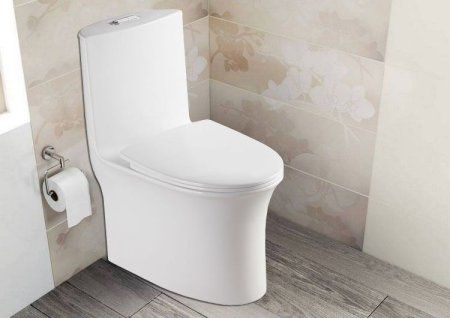 Унитаз моноблок Azario Luna 770x390x710 напольный, горизонтальный слив, сиденье дюропласт микролифт (AZ-1037)