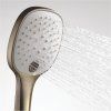 Душевая лейка WasserKRAFT Exter 1600 A050 3-функциональная, светлая бронза