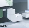 Унитаз подвесной с раковиной Roca W+W 893020001