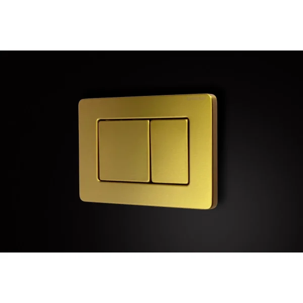 Кнопка смыва Charus Robusto FP.310.BG.05 для инсталляции, светлое золото матовый