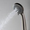 Душевая лейка WasserKRAFT Wern 4200 A120 3-функциональная, никель