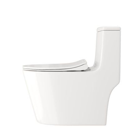 Унитаз напольный моноблок Teymi Solli безободковый, сиденье микролифт T41101