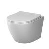 Подвесной унитаз AM.PM Like C801900SC AquaSpin с сиденьем микролифт, белый