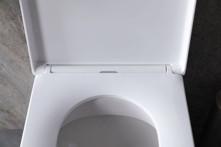 Чаша приставного унитаза Allen Brau Infinity 4.21003.20 белый глянец