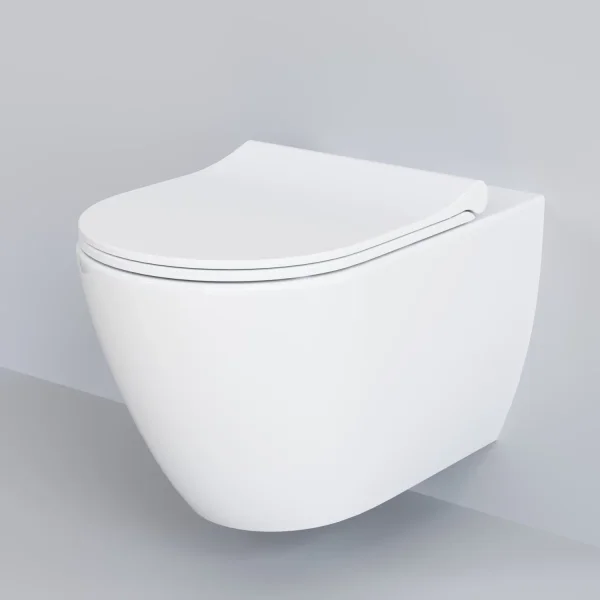 Унитаз подвесной Ambassador Queen 113T20001R безободковый, белый глянец