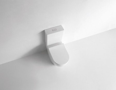 Унитаз напольный CeramaLux NS-2176, Бело-Глянцевый