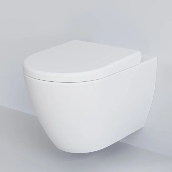 Унитаз подвесной Ambassador Queen 113T20101R безободковый, белый матовый