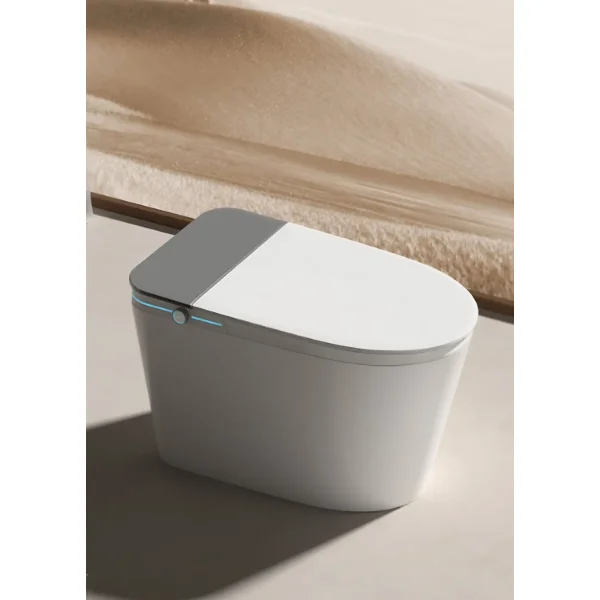 Электронный унитаз-биде напольный Ceruttispa Ester Smart CT10617 импульсный, безободковый, торнадо, с сиденьем микролифт, белый