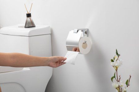 Держатель туалетной бумаги Frap F30603, хром