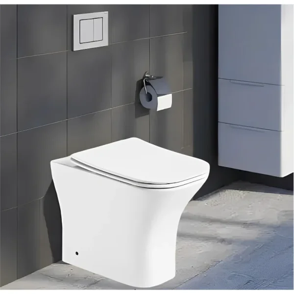 Унитаз приставной Ceruttispa Vettore F CT7841 безободковый, с сиденьем микролифт, белый