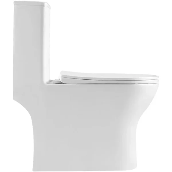 Унитаз-компакт BelBagno Lounge BB8618CPR-MN/SC безободковый, с сиденьем микролифт, белый