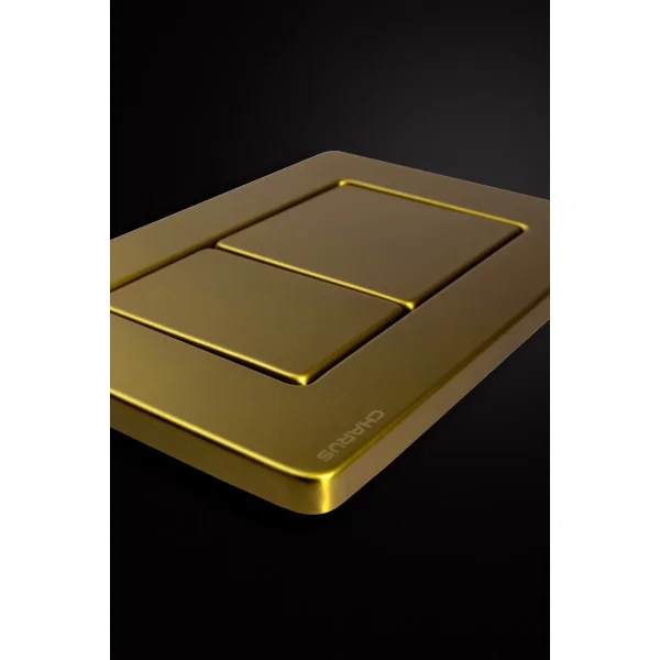 Кнопка смыва Charus Robusto FP.310.BG.05 для инсталляции, светлое золото матовый