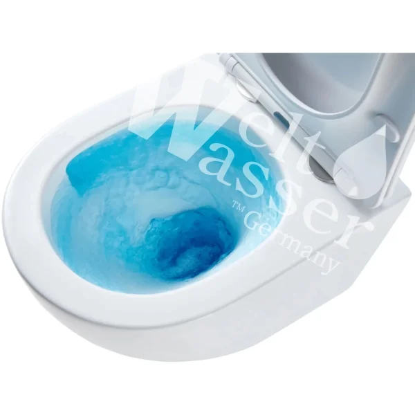 Унитаз подвесной WeltWasser Salzbach 043 GL-WT 10000010281 безободковый, торнадо, с сиденьем микролифт, белый