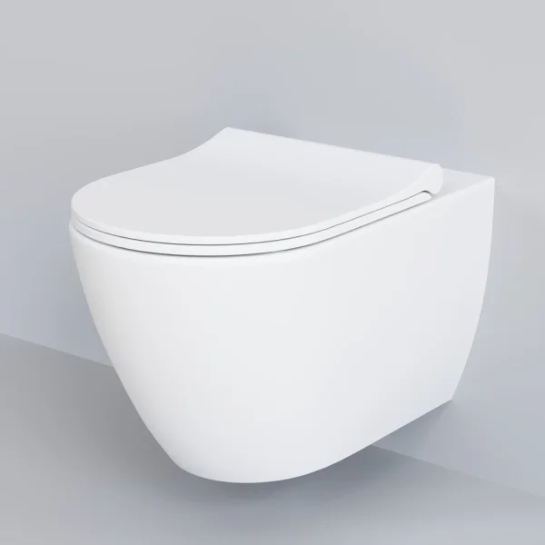 Унитаз подвесной Ambassador Queen 113T20101R безободковый, белый матовый