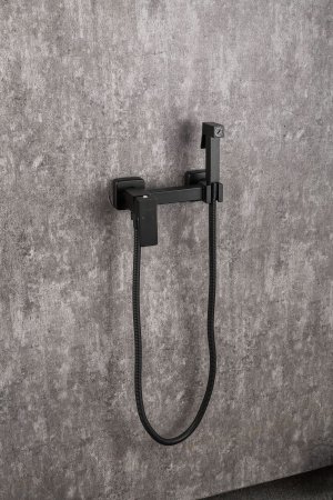 Смеситель с гигиеническим душем Frap F7504-6, однорычажный, черный