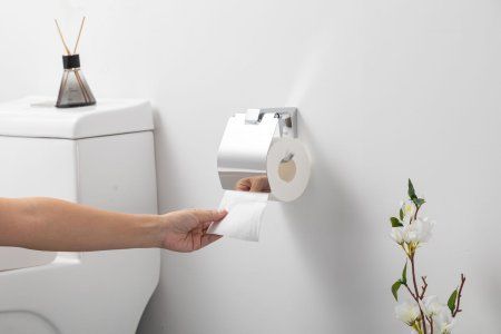 Держатель туалетной бумаги Frap F30603, хром