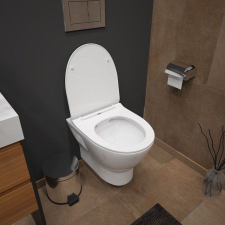 Унитаз подвесной Teymi Ritta безободковый, сиденье микролифт T40809