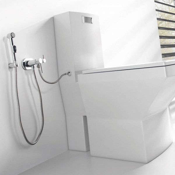 Гигиенический душ Clever Hygienic 97801 с клапаном, хром