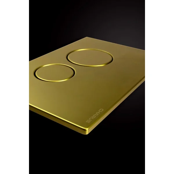 Кнопка смыва Charus Robusto FP.330.BG.05 для инсталляции, светлое золото матовый