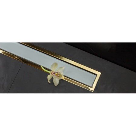 Душевой лоток Pestan Confluo Premium Line White Glass Gold 300 13100119 матовый хром/золото