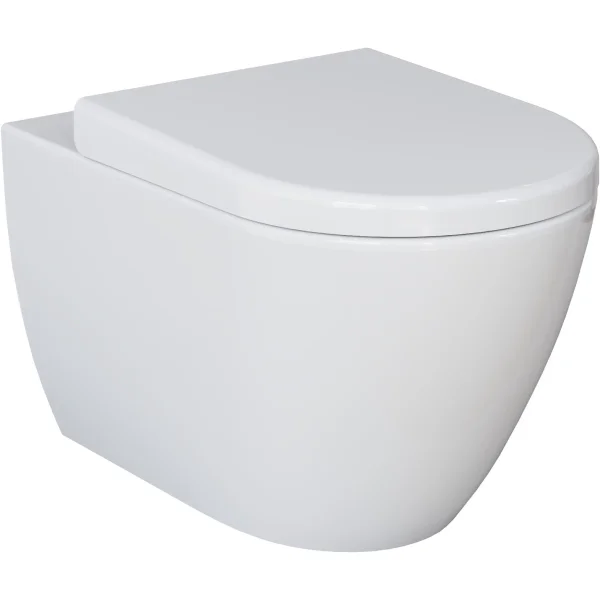 Унитаз подвесной Ambassador Queen 113T20001R безободковый, белый глянец