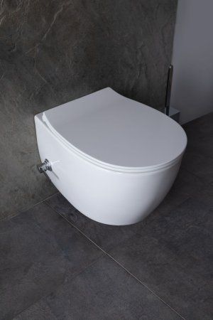 Крышка-сиденье для унитаза Allen Brau Fantasy Smartfix, Soft-Close 4.11005.20 белый глянец