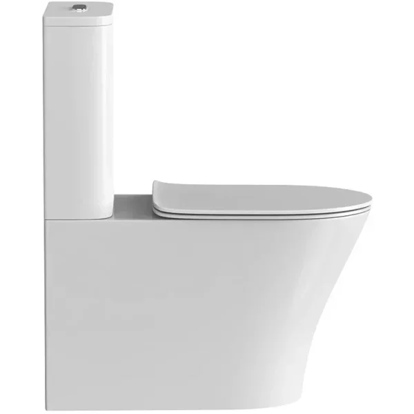 Унитаз напольный Arrow AB2232H безободковый, без бачка, с сиденьем микролифт, белый