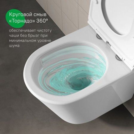 Унитаз подвесной безободковый IDDIS Ray (RAYRDSEi25)