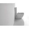Унитаз CeramaLux 2176-1 (напольный)