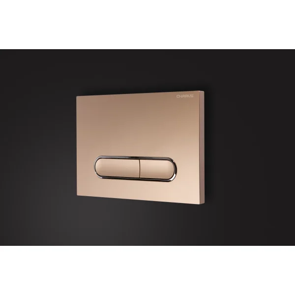 Кнопка смыва Charus Magnus FP.340.51.01 для инсталляции, песочный матовый/хром/песочный матовый
