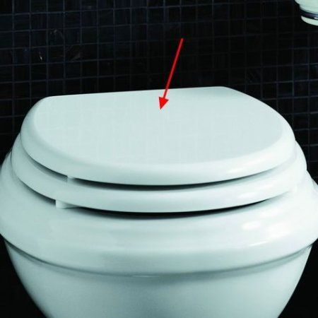 Крышка-сиденье Simas Arcade AR007bi/oro белый/золото, микролифт