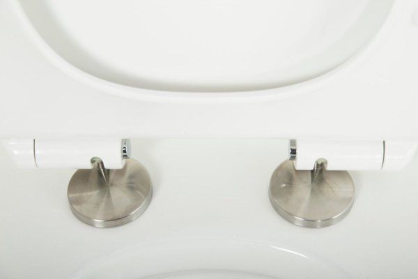 Унитаз подвесной Cezares Stylus-Tor CZR-6601-TH-TOR с сиденьем soft close Cezares CZR-2011-SC белый