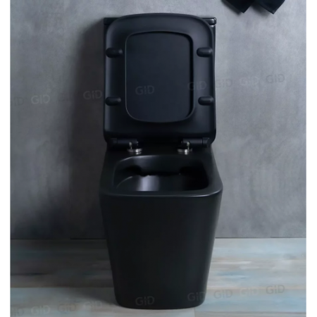 Унитаз Gid Tr2170BM (напольный)