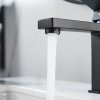 Смеситель для раковины Shevanik S9601H, черный